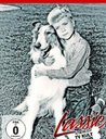 Lassie - TV Kult (2 Discs) Poster