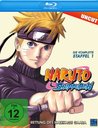Naruto Shippuden - Die komplette Staffel 1 Poster