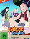 Naruto Shippuden - Die komplette Staffel 11 (3 Discs) Poster