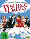 Pushing Daisies - Die komplette zweite Staffel Poster