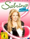 Sabrina - Total verhext! - Die komplette Staffel 6 Poster