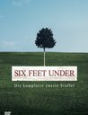 Six Feet Under - Gestorben wird immer, Die komplette zweite Staffel (5 DVDs) Poster