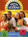 Sterne des Südens - Saison 1, Folge 01-14 (4 DVDs) Poster