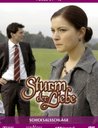 Sturm der Liebe - Folge 031-40: Schicksalsschläge (3 DVDs) Poster