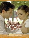 Sturm der Liebe - Folge 261-270: Am Ende des Schweigens (3 DVDs) Poster