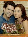 Sturm der Liebe - Folge 271-280: Das ersehnte Glück (3 DVDs) Poster