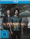 Supernatural - Die komplette neunte Staffel Poster
