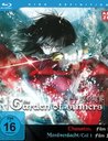 The Garden of Sinners - Film 1 & 2 Poster