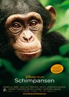 Poster Schimpansen