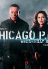 Poster Chicago P.D. Staffel 1