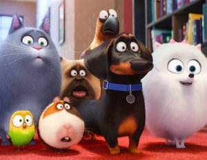 Pets 2: Starttermin der Fortsetzung ist bekannt! Pets 2: Starttermin der Fortsetzung ist bekannt!