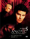 Angel - Jäger der Finsternis: Season 5.1 Collection (3 DVDs) Poster