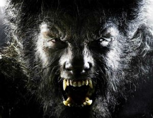 Monsterfilm „The Wolf Man“ soll von „The Expendables“-Macher zum Leben erweckt werden Monsterfilm „The Wolf Man“ soll von „The Expendables“-Macher zum Leben erweckt werden