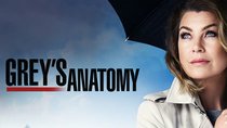 Grey's Anatomy Staffel 13 DVD-Start: Jetzt vorbestellen