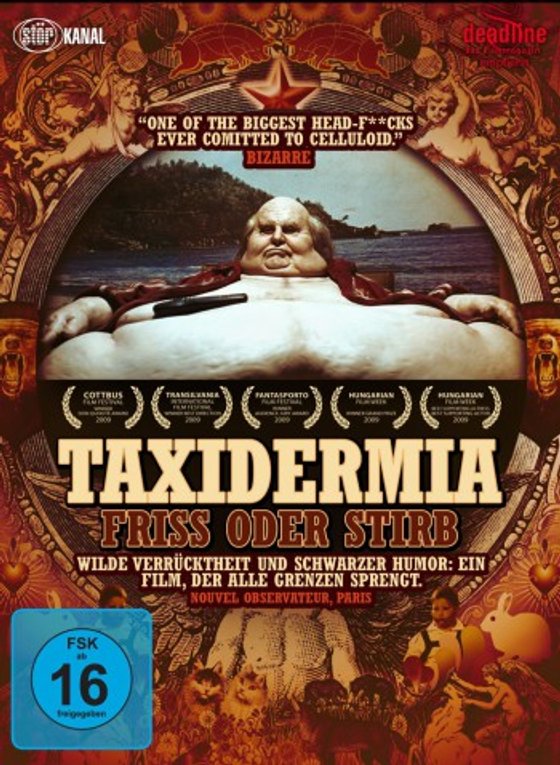 taxidermia
