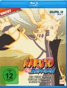 Naruto Shippuden - Die komplette Staffel 15, Box 1 Poster