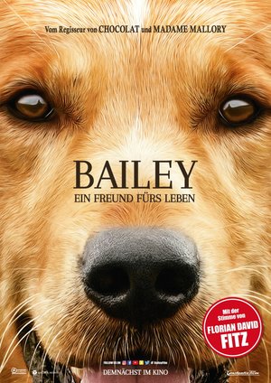 Bailey - Ein Freund fürs Leben Bailey - Ein Freund fürs Leben