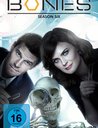 Bones - Season Six (6 Discs) Poster