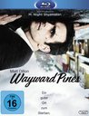 Wayward Pines - Ein guter Ort zum Sterben. Poster