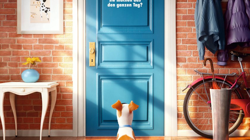Pets auf DVD & Blu-ray: Wann erscheint sie im deutschen Handel?