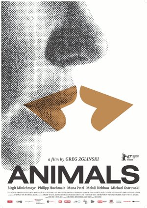 Animals - Stadt Land Tier Animals - Stadt Land Tier