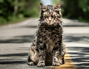 „Friedhof der Kuscheltiere“: Remake hat R-Rating in den USA – FSK in Deutschland? „Friedhof der Kuscheltiere“: Remake hat R-Rating in den USA – FSK in Deutschland?