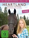 Heartland - Paradies für Pferde: Die dritte Staffel, Teil 1 Poster