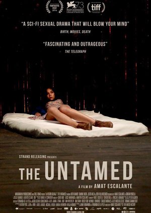 The Untamed The Untamed