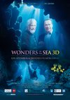 Poster Wonders of the Sea 3D