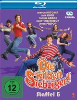 Die wilden Siebziger - Staffel 6 (2 Discs) Poster