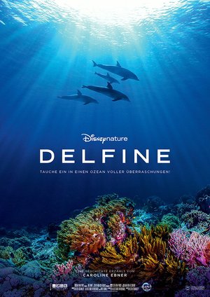 Delfine Delfine
