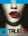 True Blood - Die komplette erste Staffel Poster