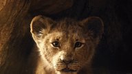 Neuauflage von „Der König der Löwen“: Diese Stars sind dabei