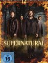 Supernatural - Die komplette zwölfte Staffel Poster