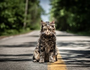 „Friedhof der Kuscheltiere 2“: Produzent hat Interesse an einem Prequel „Friedhof der Kuscheltiere 2“: Produzent hat Interesse an einem Prequel