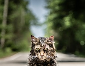 „Sometimes Dead is Better“: Am Set der Stephen-King Verfilmung „Friedhof der Kuscheltiere“ „Sometimes Dead is Better“: Am Set der Stephen-King Verfilmung „Friedhof der Kuscheltiere“