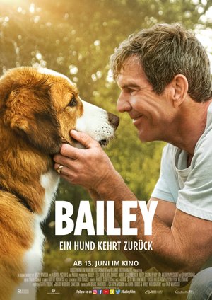 Bailey - Ein Hund kehrt zurück Bailey - Ein Hund kehrt zurück