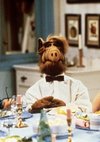 Poster ALF Staffel 1