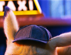 „Pokémon Meisterdetektive Pikachu": Das irre Ende erklärt durch Ryan Reynolds & den Regisseur „Pokémon Meisterdetektive Pikachu": Das irre Ende erklärt durch Ryan Reynolds & den Regisseur