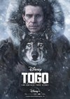 Poster Togo: Der Schlittenhund