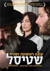 Poster Shtisel