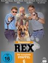 Kommissar Rex - Die komplette Staffel 6 Poster