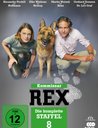 Kommissar Rex - Die komplette Staffel 8 Poster