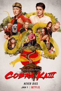 Cobra Kai Cobra Kai