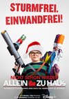 Poster Nicht schon wieder allein zu Haus