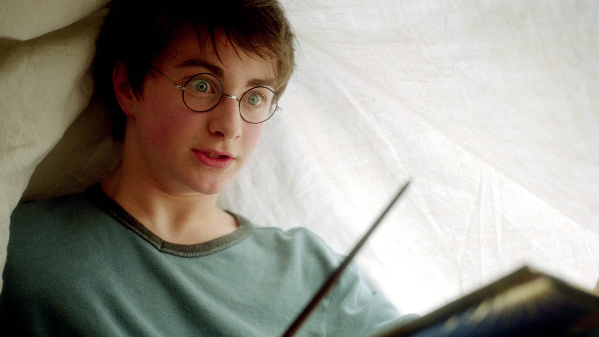-Harry-Potter-Quiz-Nur-wer-Animagus-von-Horcrux-unterscheiden-kann-besteht-diesen-kniffligen-Wissenstest-