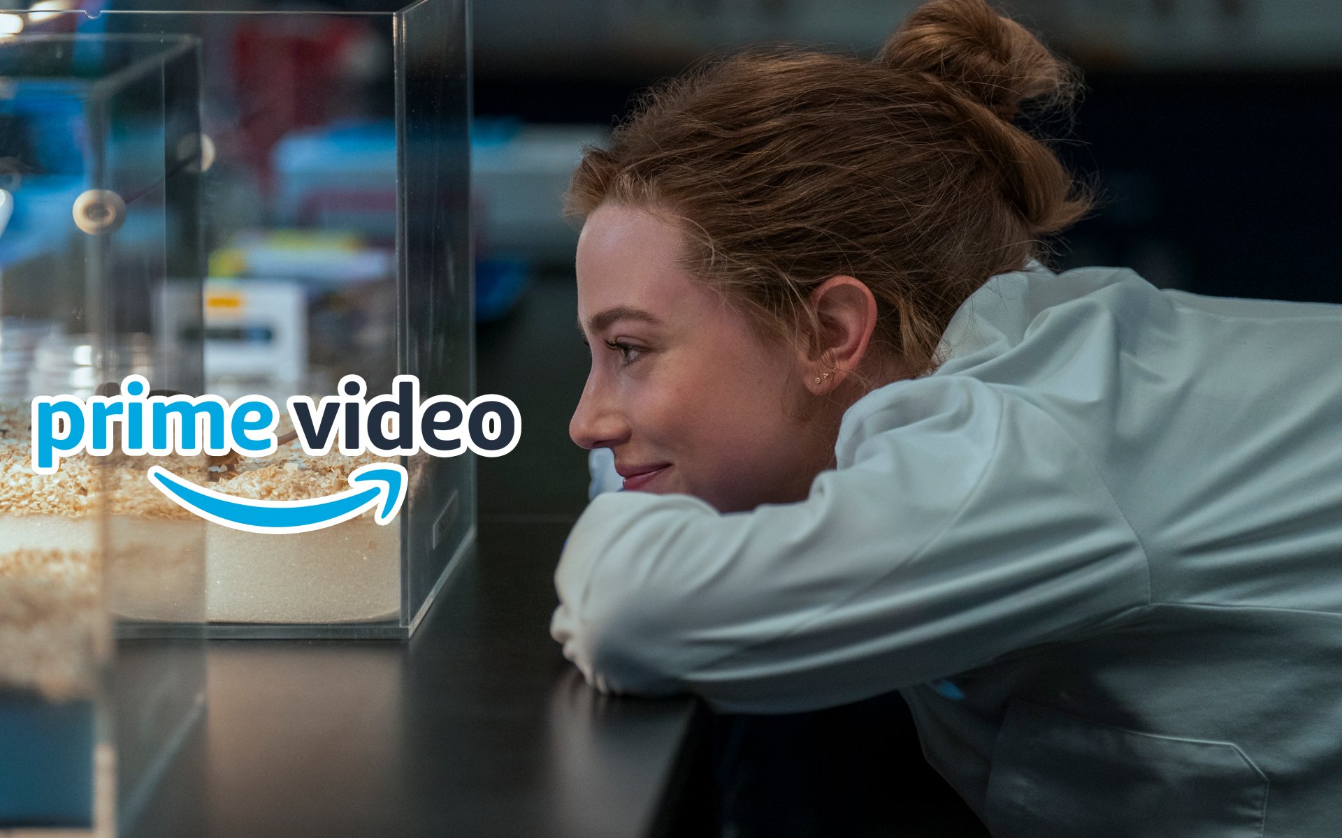 „Off Campus“ für Erwachsene: Auf diese Romanverfilmung warte ich seit Jahren – in drei Monaten startet sie endlich bei Amazon 9fb69977009528fbef8380d904 cmUgMTkyMCADMDQ5NjcwMmI4MDA=