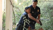 „The Rookie“ Staffel 9: Geht es für John Nolan, „Chenford“ & Co. weiter? 