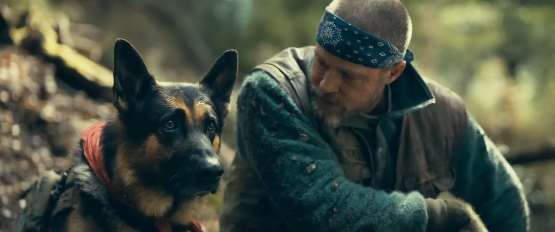 „Wir hoffen alle, dass der Hund überlebt“: Actionstar Brad Pitt & sein Begleiter im neuen Trailer zu Survival-Thriller 61ff53427fd53c3b3eb3244378 ZmMgODAwYzdlMTZmZmZmIDE5MjAgMAMwODZmNGYzYmI0Nw==