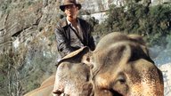 So kam „Indiana Jones“ zu seinem Namen: Die wahre Geschichte hinter dem skurrilen Namen 
